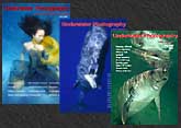 underwater photoraphy magazine