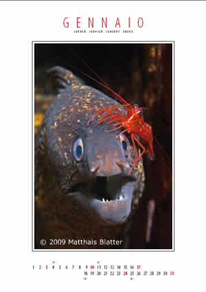 raja ampat marine protected areas