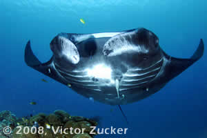 raja ampat marine protected areas