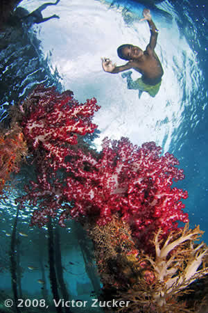 raja ampat marine protected areas