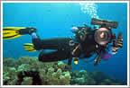 underwater video - DebF