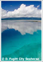 perfect day in Raja Ampat