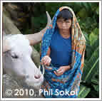 boy and water buffalo