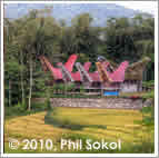 toraja scene