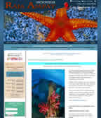 new raja ampat diving website