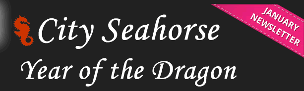 indoneisa liveaboard website