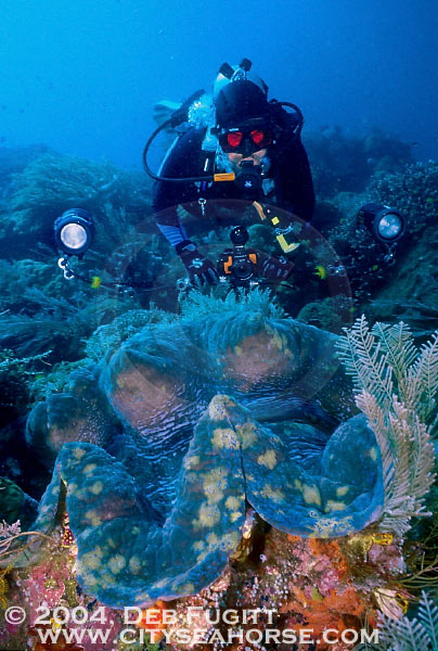Tony and the Giant Clam, Papua Diving