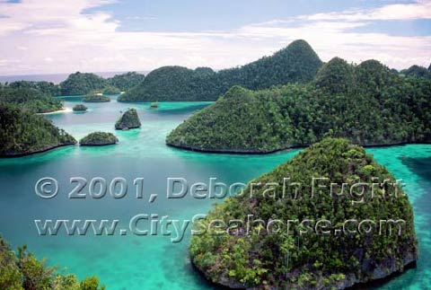 Wayag, Raja Ampat Islands, Irian Jaya Indonesia