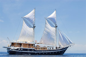 Seahorse Liveaboard in Indonesia